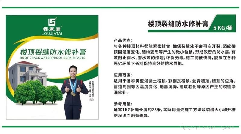 楼顶裂缝防水修补膏