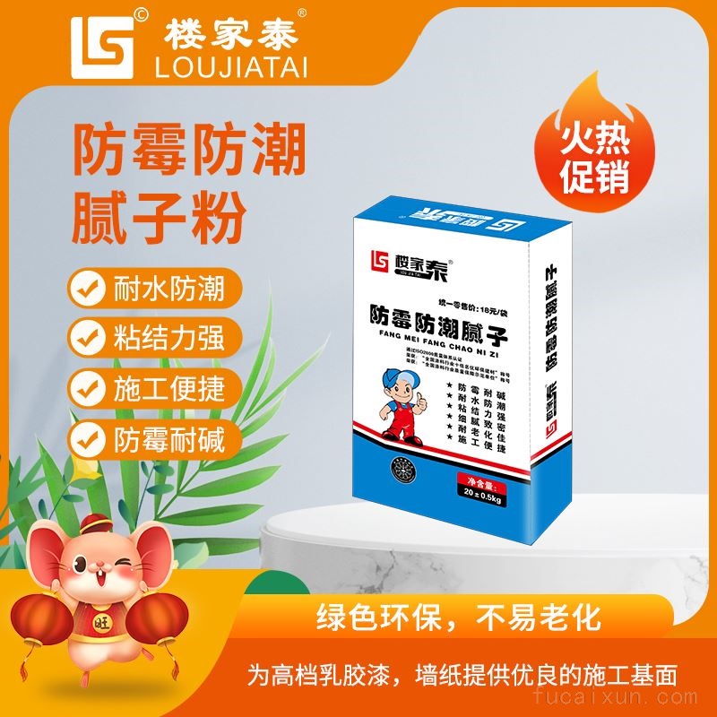 防霉防潮腻子粉
